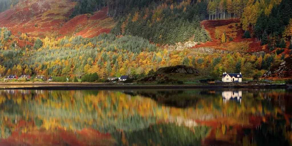 Why Autumn Truly Feels Like the Season of Love in Scotland